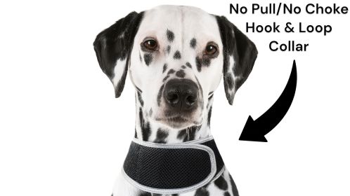 Durable Collar Mount Dog Trackers Mini GSM GPS Pet Tracking Device NEW Size:XL